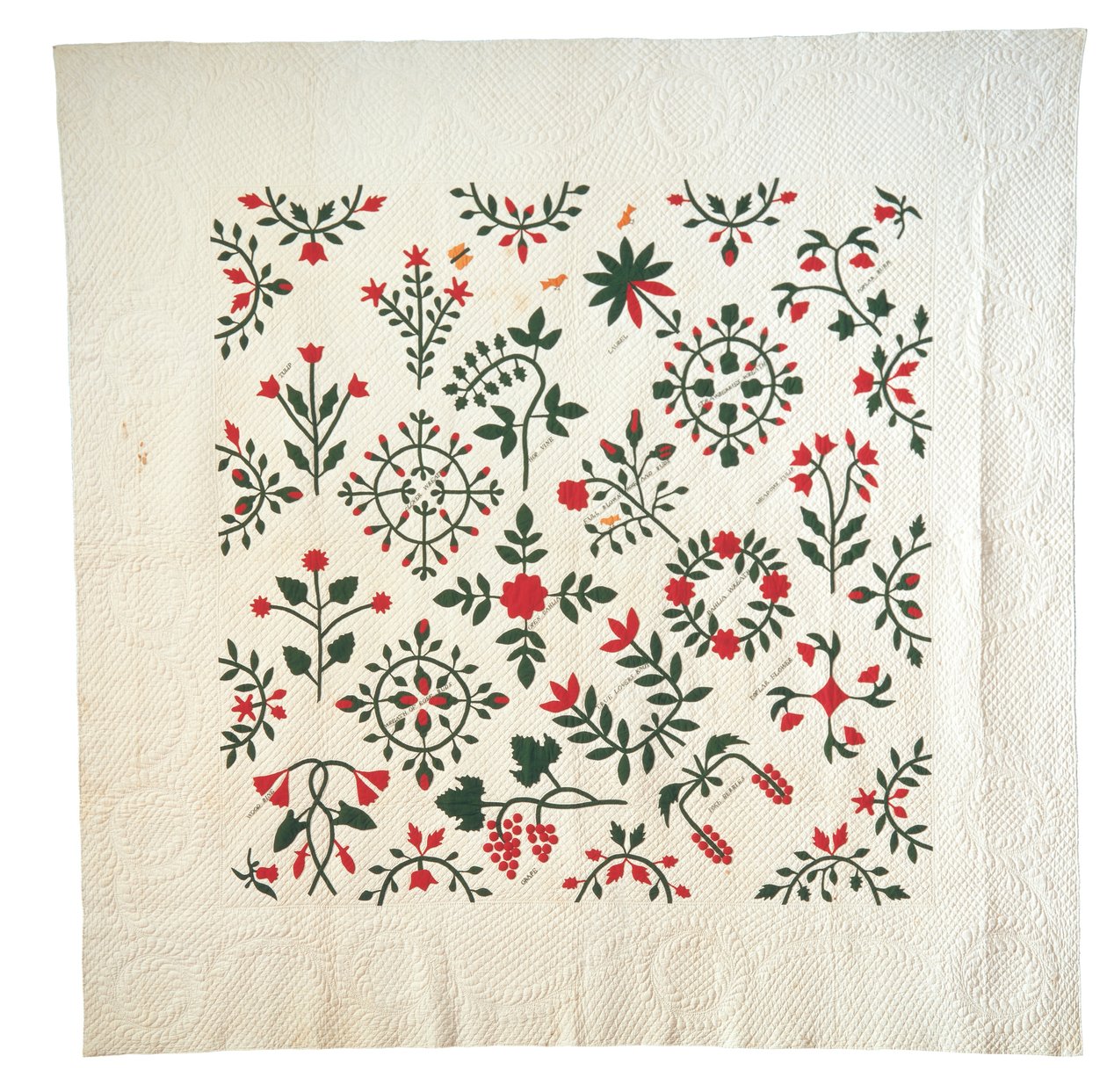 Nášivka a vyšívané zahradní botanické album Quilt od American School