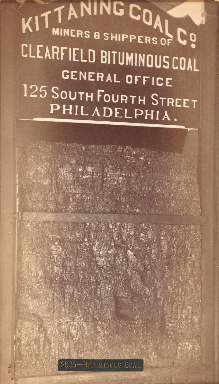 Bituminous Coal, výstava Kittaning Coal Co.s, 1876 (stříbrný albínový tisk) od American School