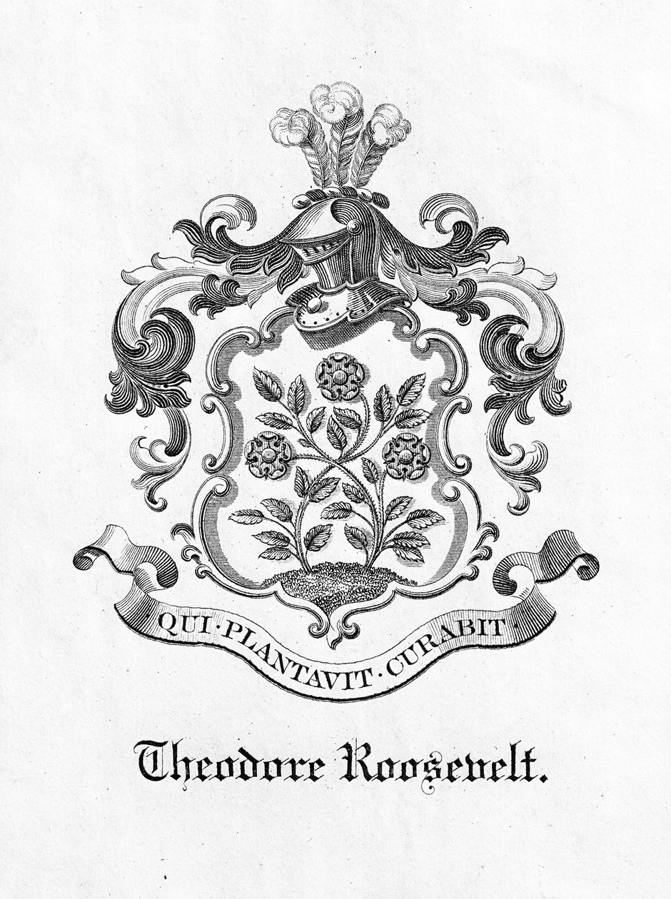 Knihovna prezidenta Theodora Roosevelta (1858-1919) (tisk) od American School