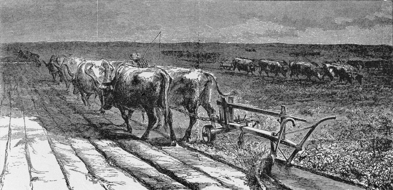 Breaking the Prairie, ilustrace z 