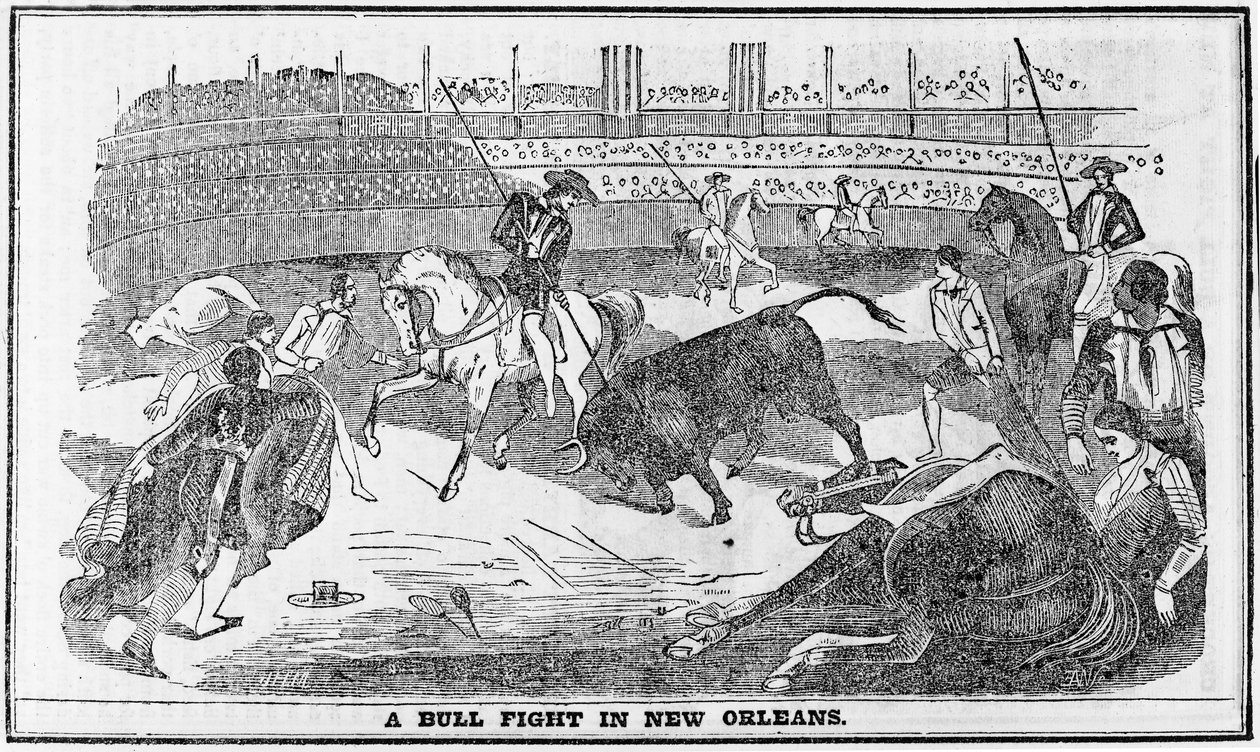 Býčí zápas v New Orleans, z Davy Crocketts Almanack, Boston, 1849 od American School