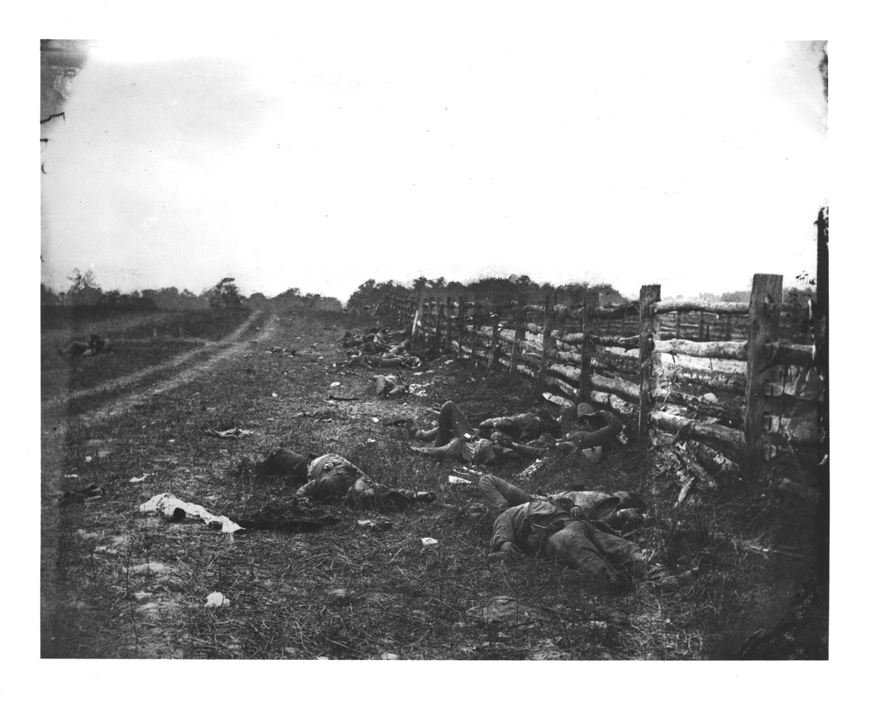 Konfederace mrtvý podél West Side Hagerstown Pike, bitva u Antietamu, 19. září 1862 od American School