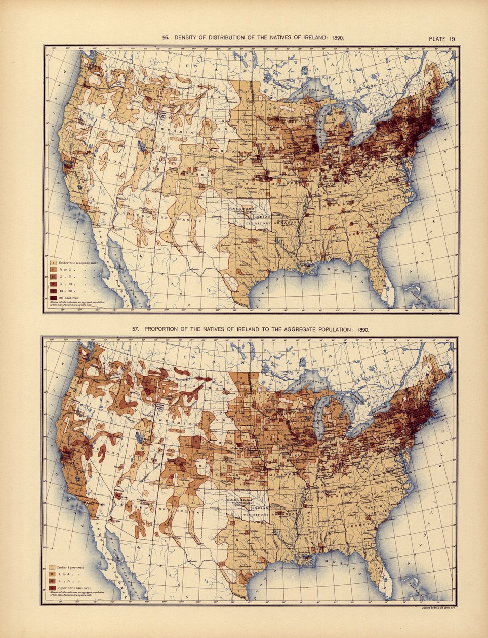 Hustota distribuce původních obyvatel Irska a jejich podíl na celkové populaci, 1898 od American School