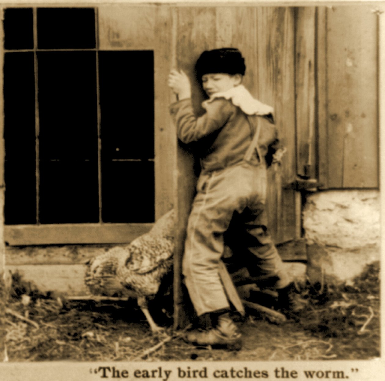 Detail stereoskopické karty "Ranní ptáče chytí červa" c.1900 (černobílá fotografie) od American School