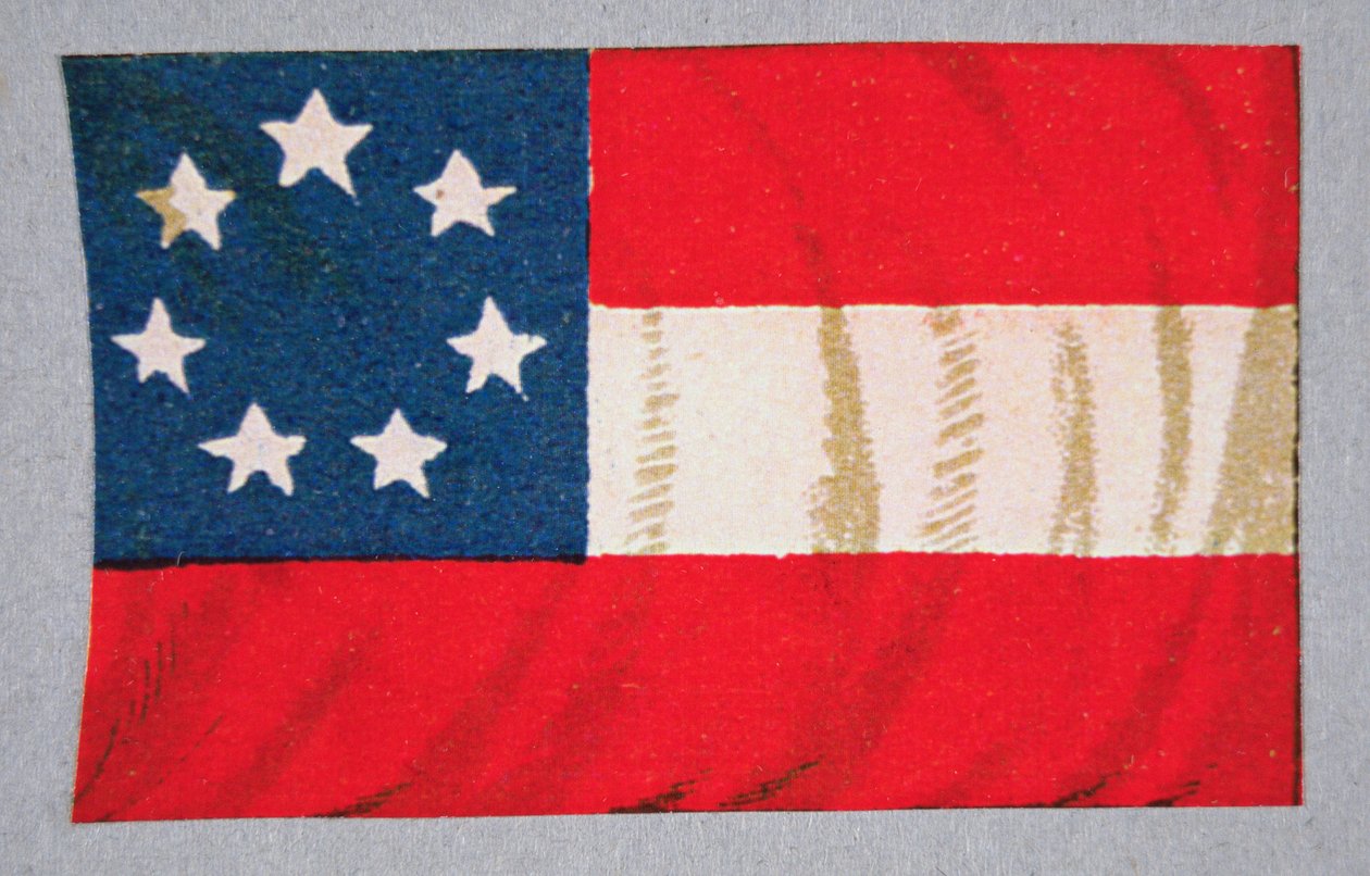 Vlajka států Konfederace amerických (barva lito) od American School