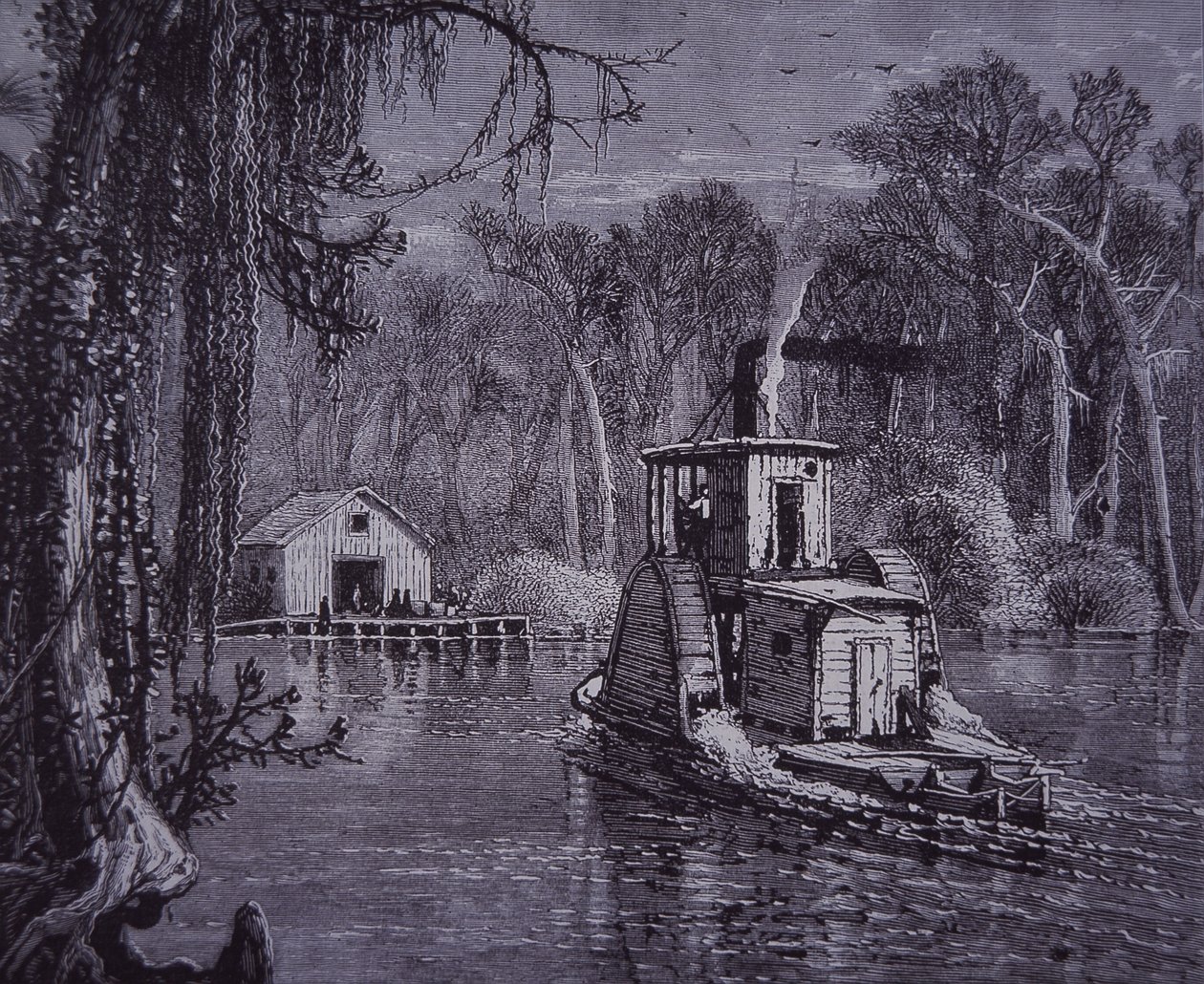 Scéna Florida Everglades od American School
