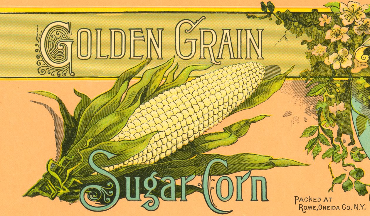 Etiketa výrobku Golden Grain Sugar Corn, cca 1890 (barevná litografie) od American School