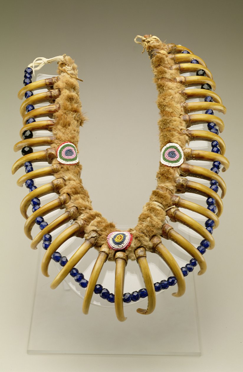 Náhrdelník Grizzly Bear Claw, Iowa, Native American, cca 1830 (kožeň z vydry, medvědí drápy grizzly, skleněné korálky) od American School