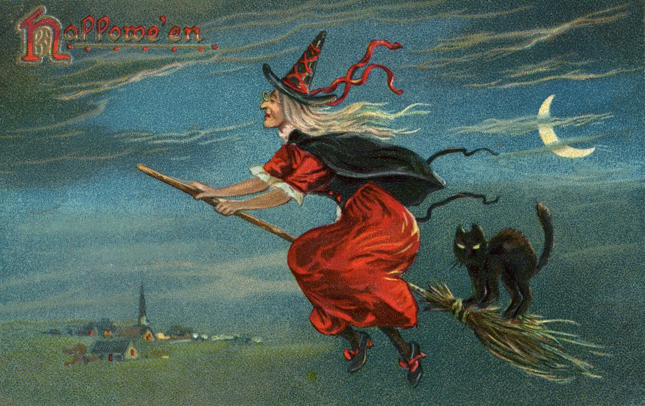 Halloweenská čarodějnice a černá kočka na koštěti v noci od American School