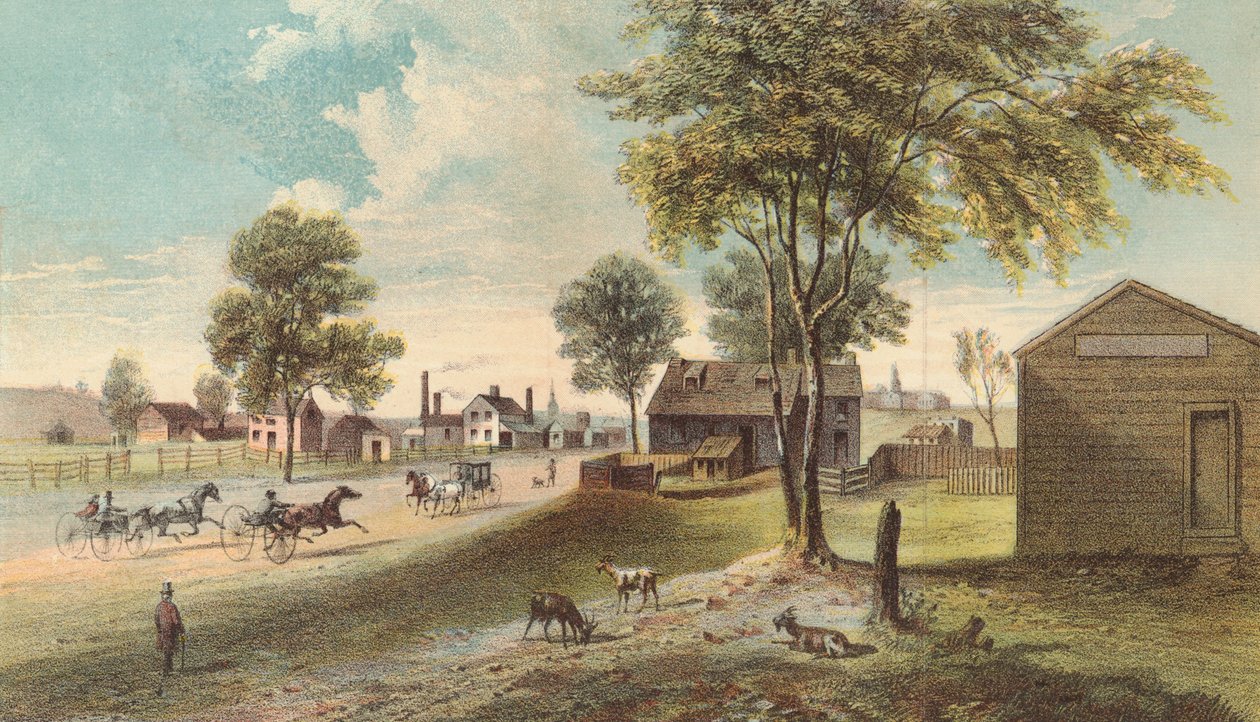 Harlem Lane, z Central Parku do Manhattanville, 1865 od American School