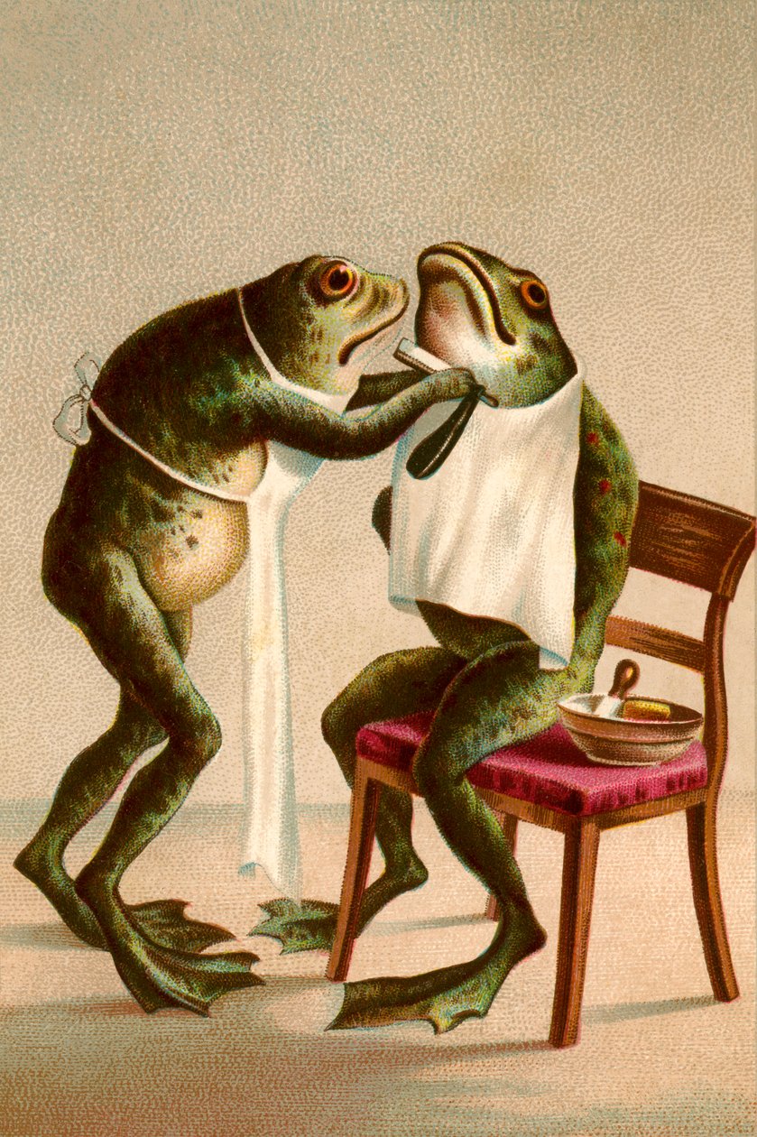 Humorná ilustrace žáby při holení od American School