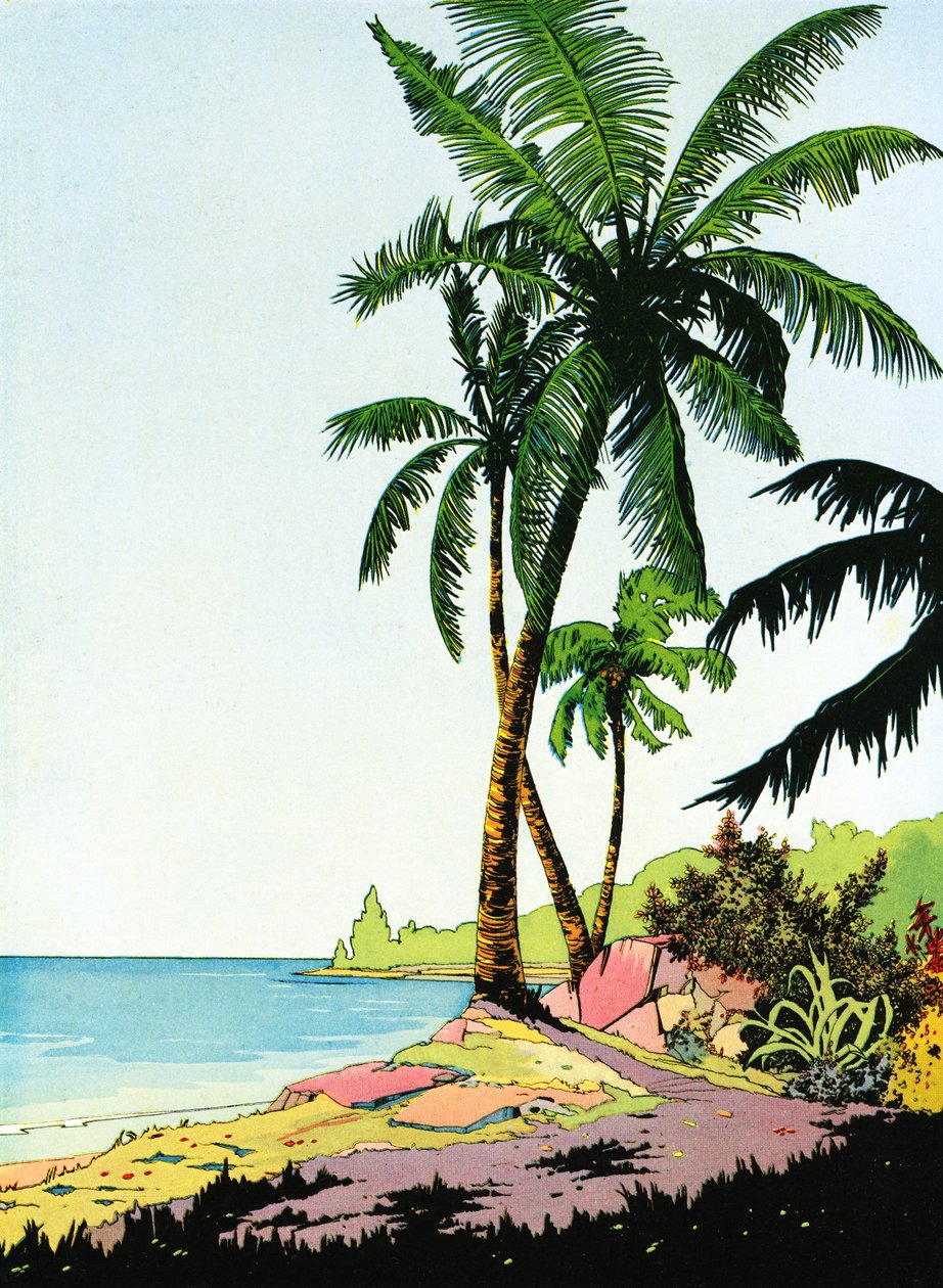 Ilustrace Beach Paradise s palmami od American School