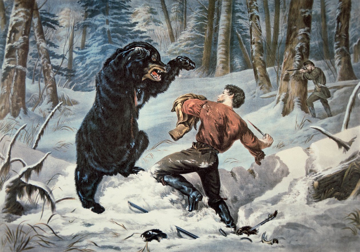 Jedediah Smith (1799-1831) byl napaden medvědem Grizzly, kolem roku 1861 (barevné lito) od American School