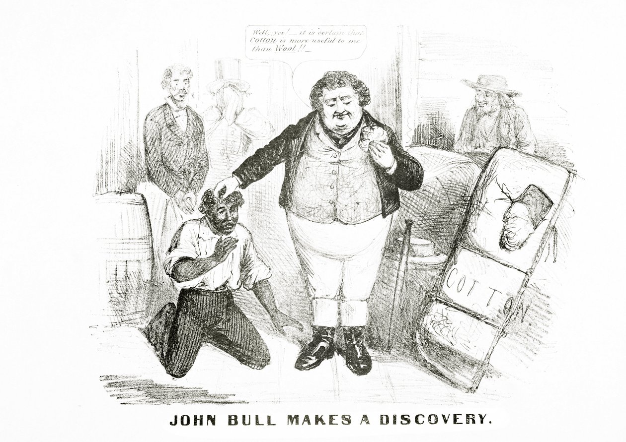 John Bull dělá objev (litho) od American School