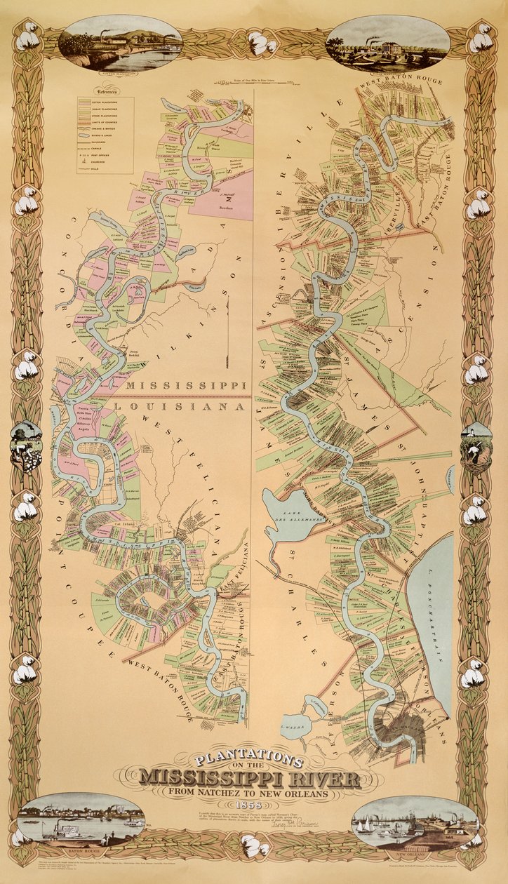 Mapa zobrazující plantáže na řece Mississippi od Natchezu po New Orleans, 1858 od American School