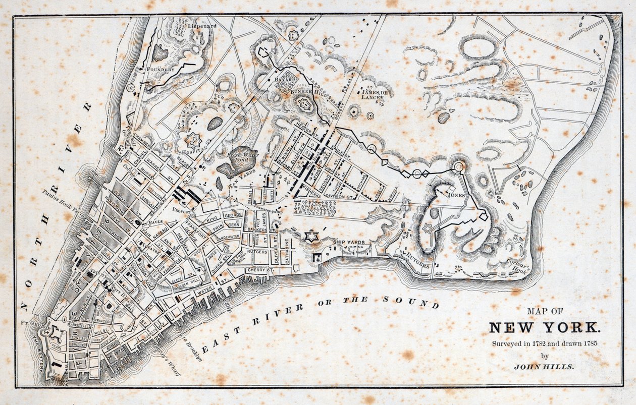 Mapa New Yorku (litho) od American School
