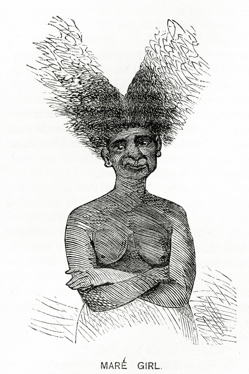 Mare Girl, ilustrace z Appletons Journal, 4. května 1872 od American School