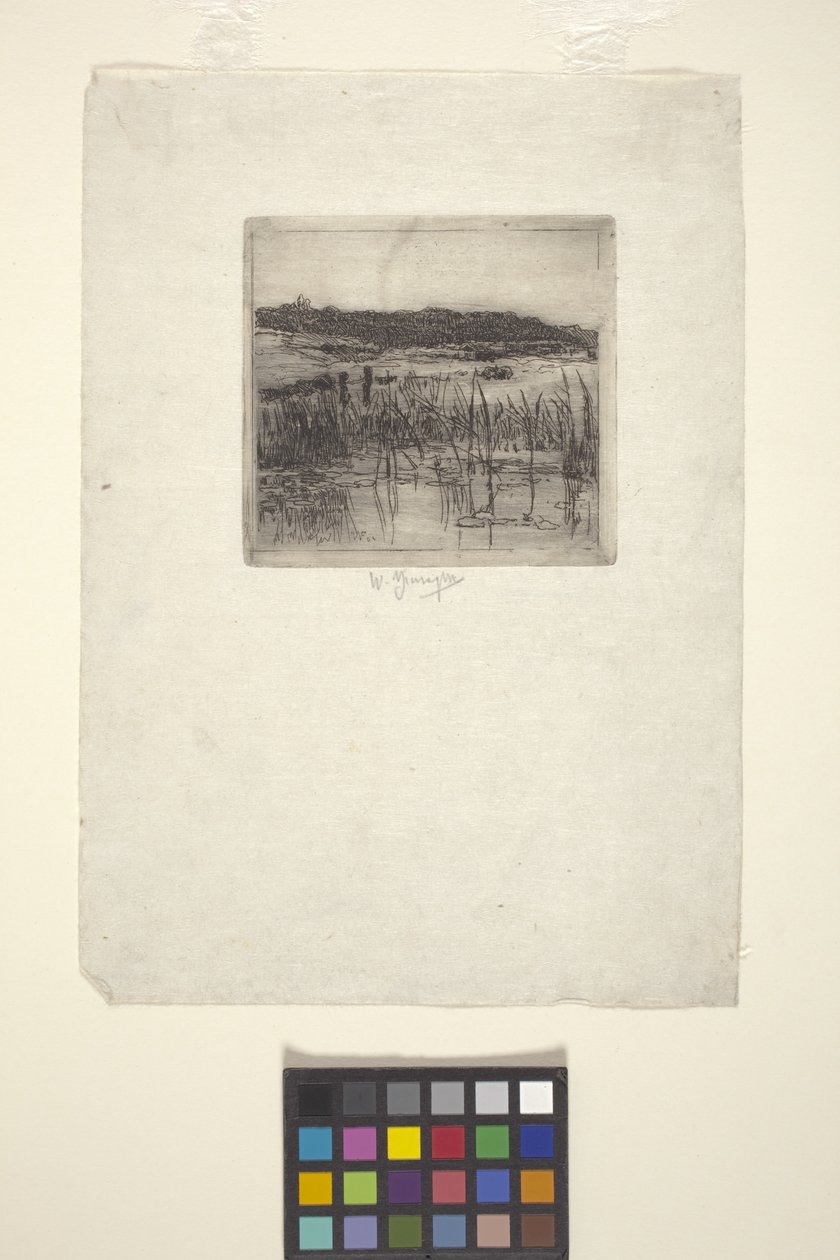 Marsh (lept) od American School