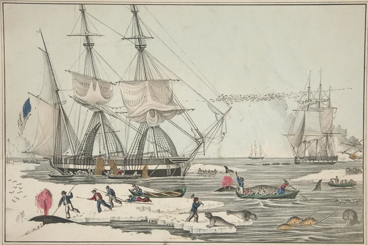 North Sea Whale Fishery, hospoda. 1860 (barevné lito) od American School
