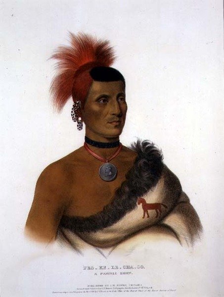 Pes-Ke-Le-Cha-Co, A Pawnee Chief, hospoda. od J. T. Bowena (1801-c.1856) 1841 (barevné lito) od American School
