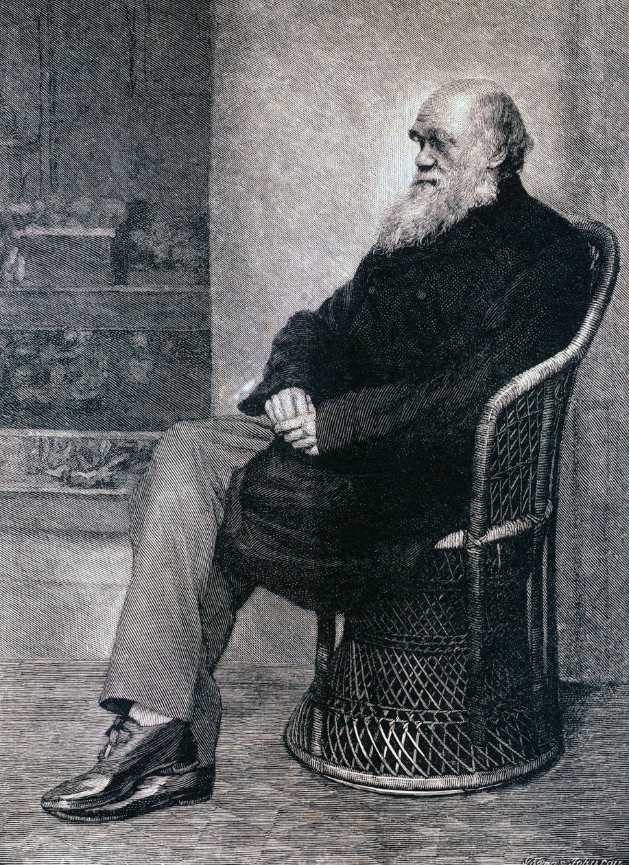 Portrét Charlese Darwina od American School