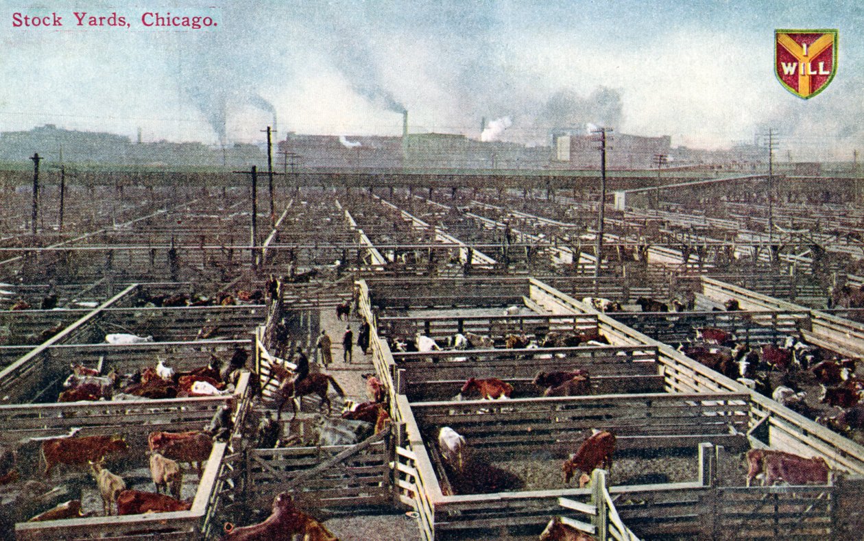 Pohlednice zobrazující skladiště a jatka v Chicagu, kolem roku 1910 (barevné fotografie) od American School