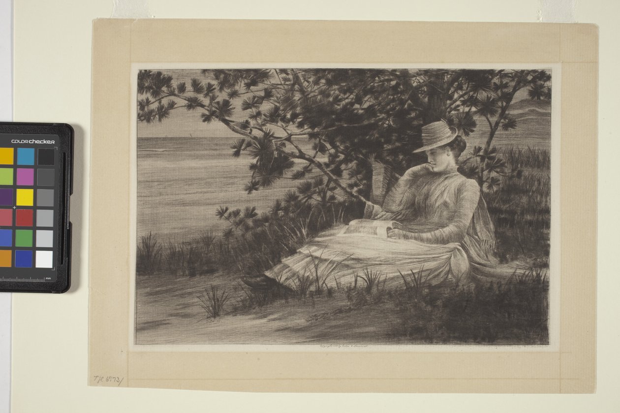 Reverie (inkoust) od American School