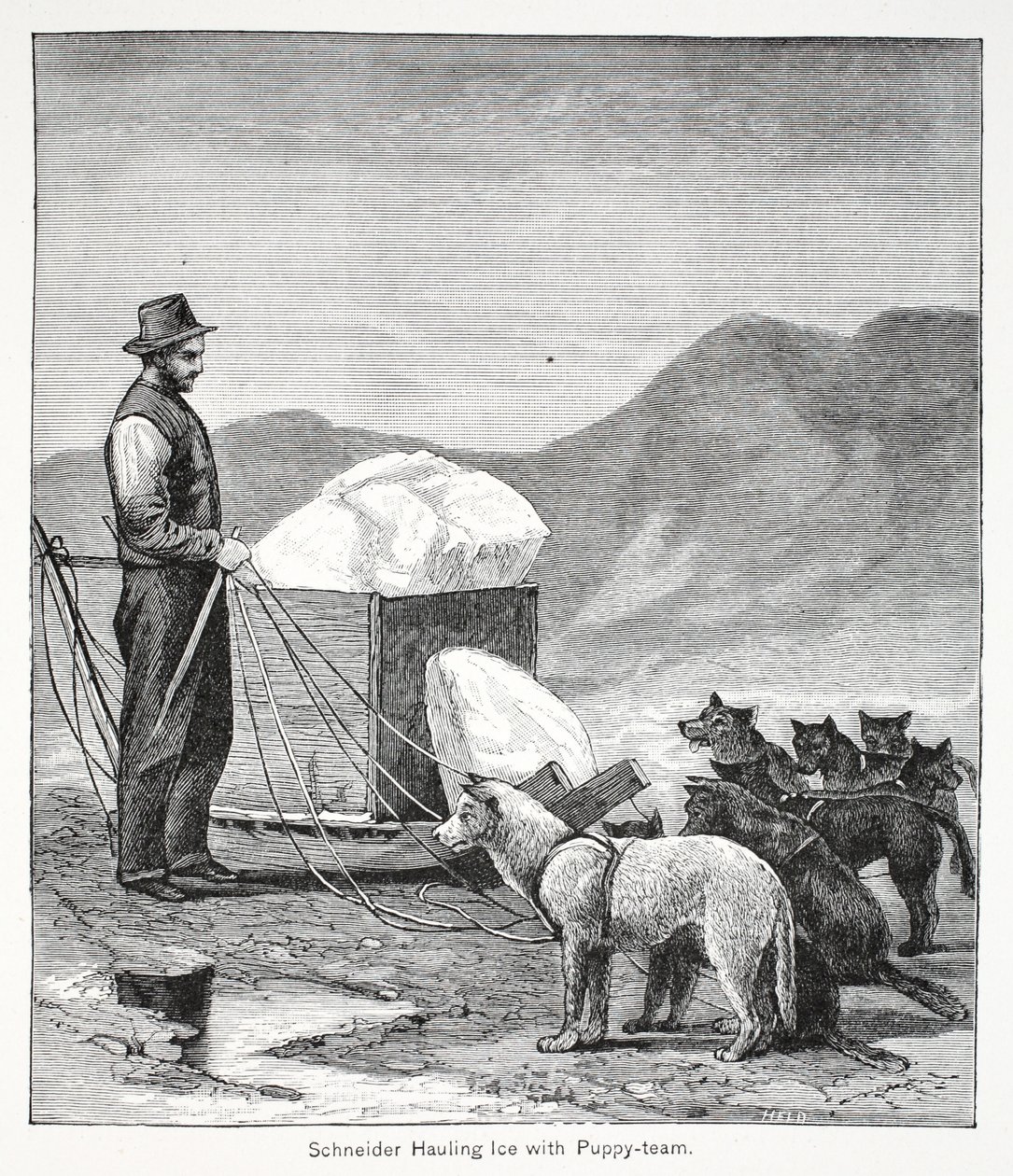 Schneider vozí led s Puppy-team, hospoda. Londýn 1886 od American School