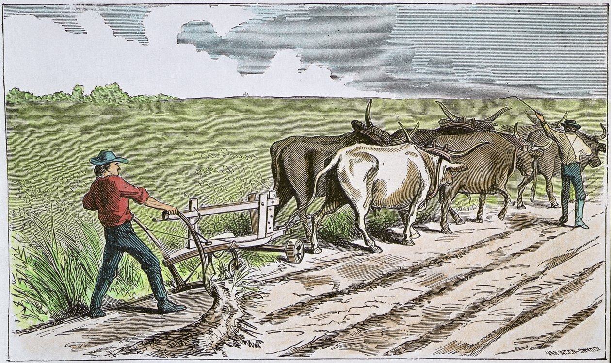 Sodbusters of the American West, c.1880 (barevná rytina) od American School