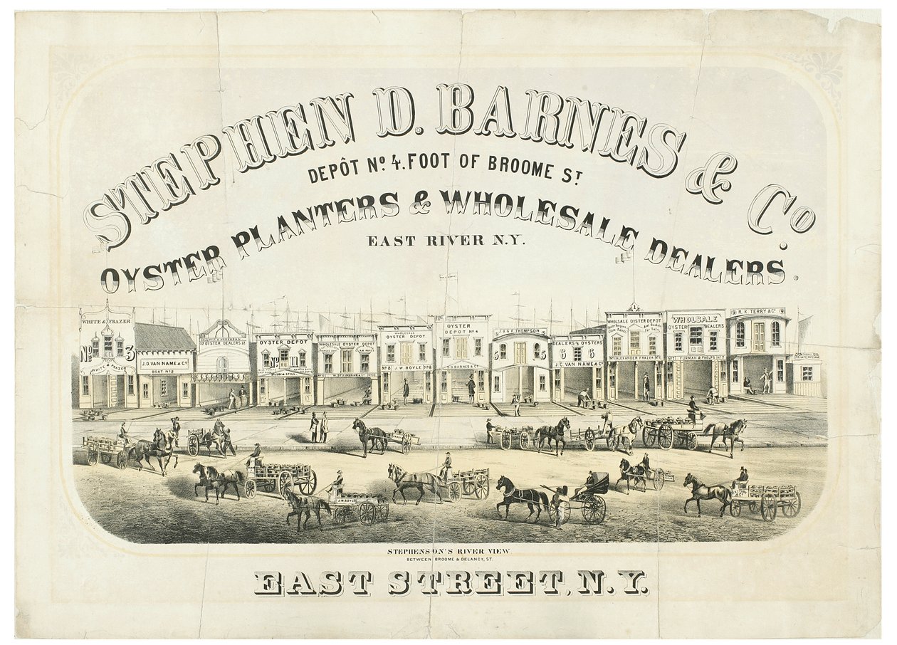 Stephen D. Barnes & Co. Sázecí stroje na ústřice a velkoobchodní prodejci, sklad č. 4 stopy od Broome Street od American School