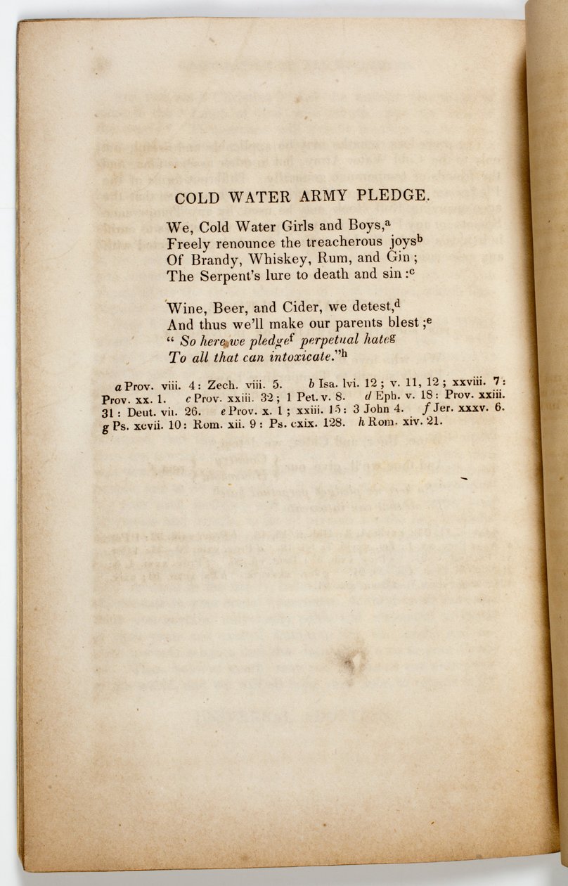 Slib armády studené vody, 1842 od American School