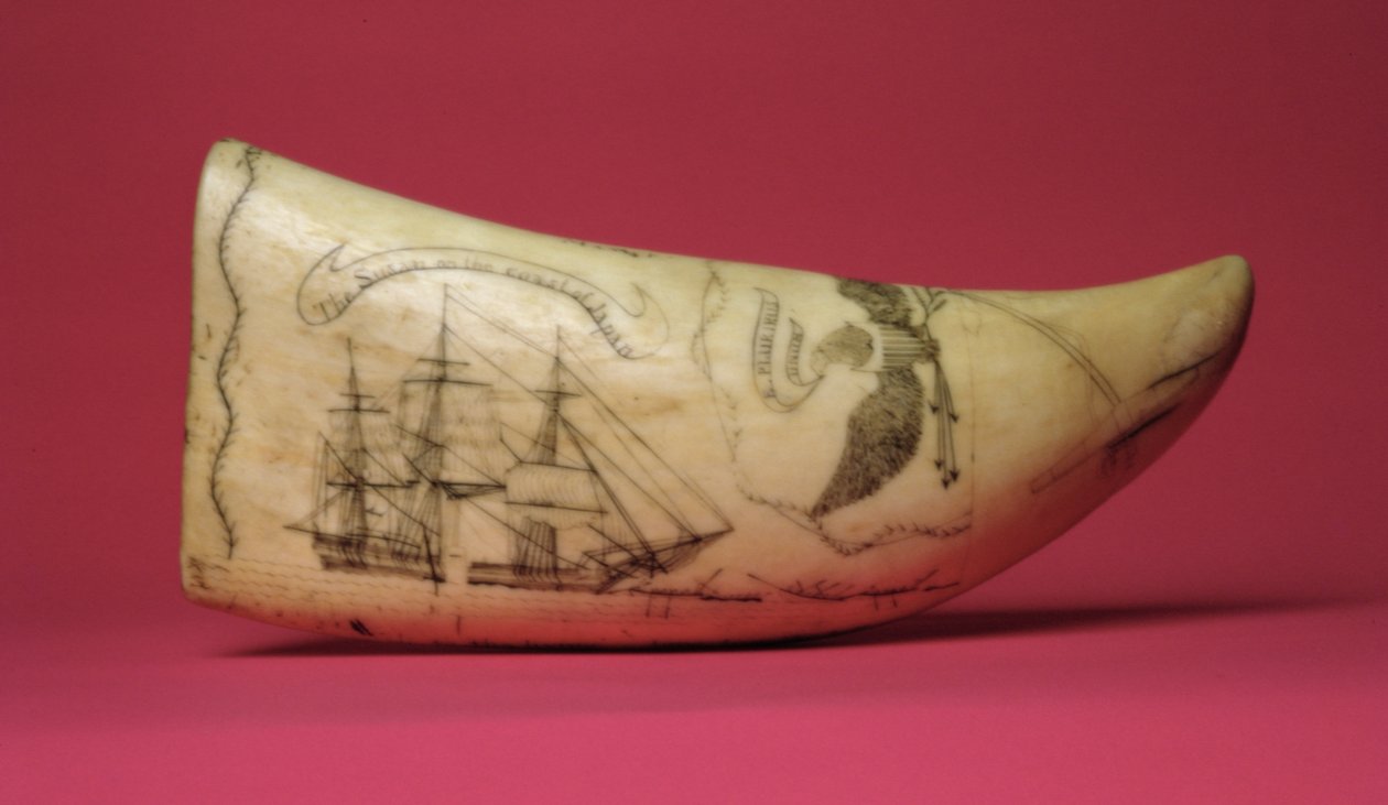 Susan na pobřeží Japonska Scrimshaw (zub) od American School