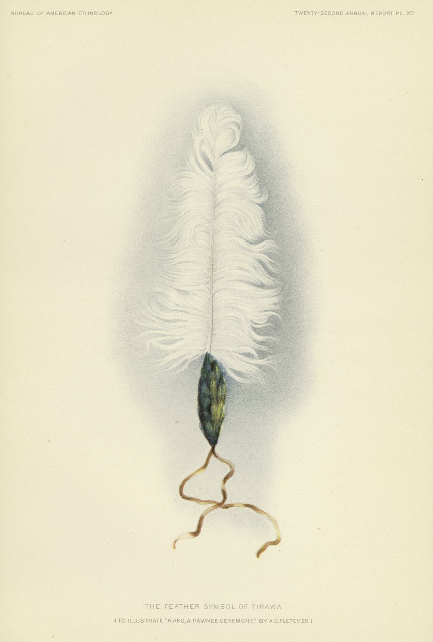 Symbol peří Tirawa (barevná litografie) od American School