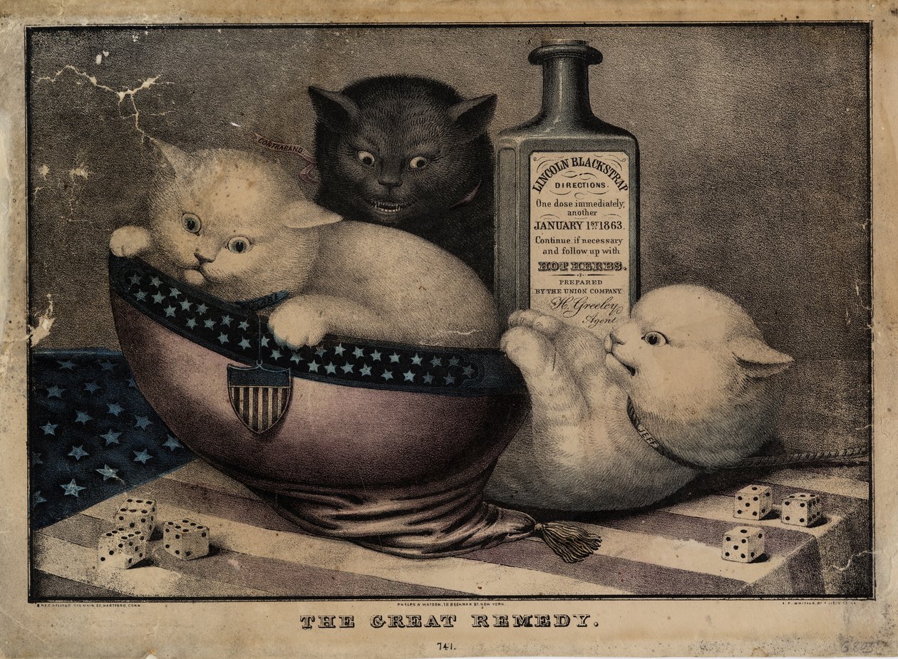 Skvělý lék, který vydal E.B. a E. C. Kellogg, Hartford Ct., a Phelps a Watson, New York, a F.P. Whiting, New York, c. 1863 od American School