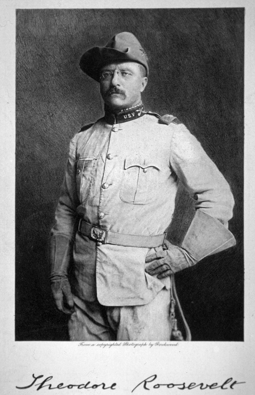 Theodore Roosevelt od American School