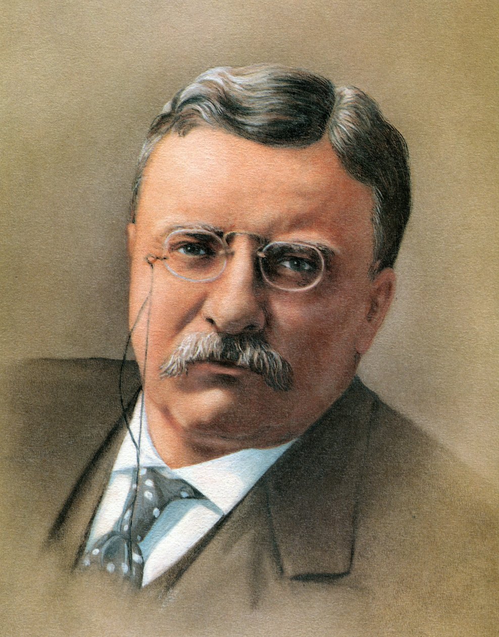 Theodore Roosevelt od American School