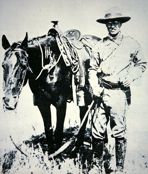 Theodore Roosevelt se svým koněm, kolem roku 1885 (litho) od American School