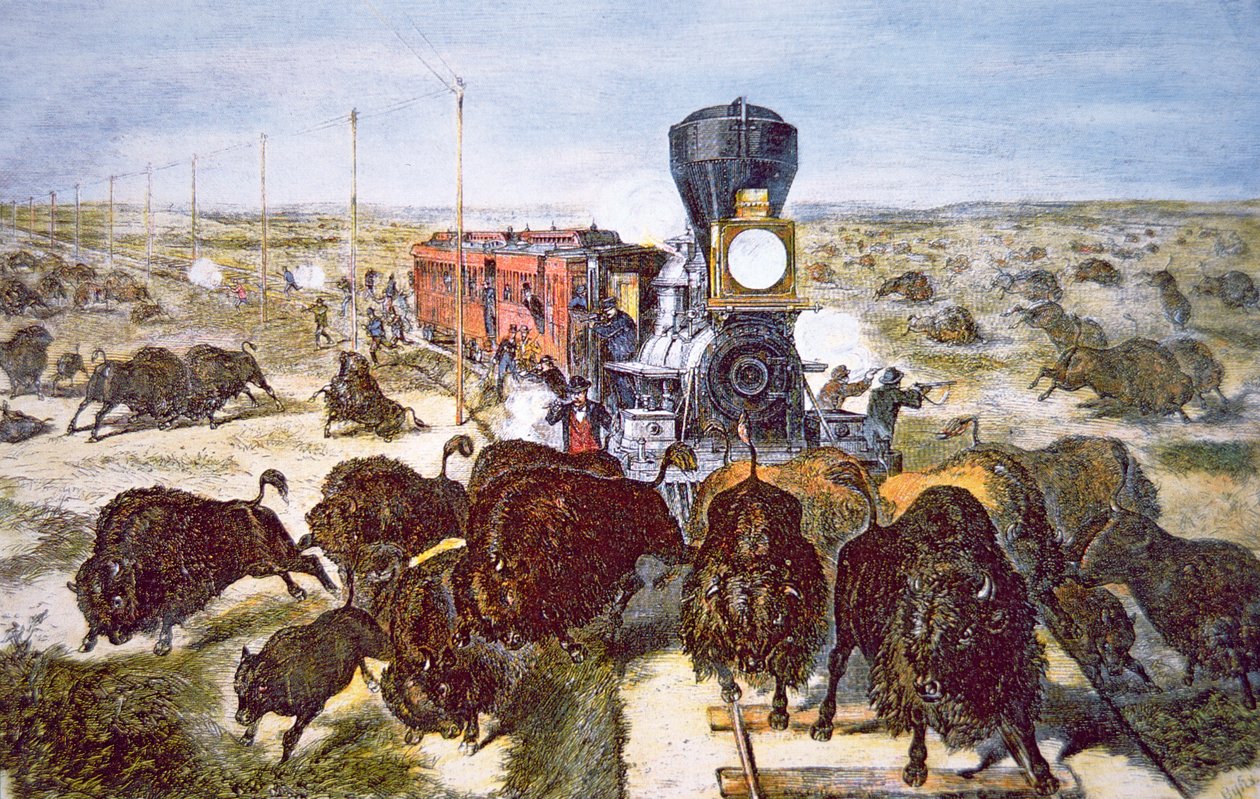 Vlak cestující na Kansas Pacific Railroad, střelba na buvoly pro sport v 70. letech 19. století (barevné lito) od American School
