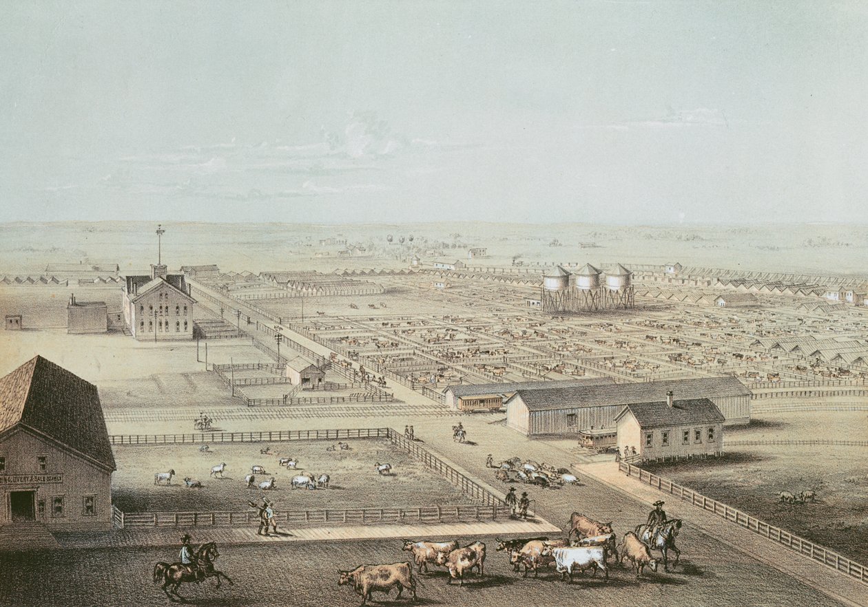 Union Stockyards, Chicago od American School