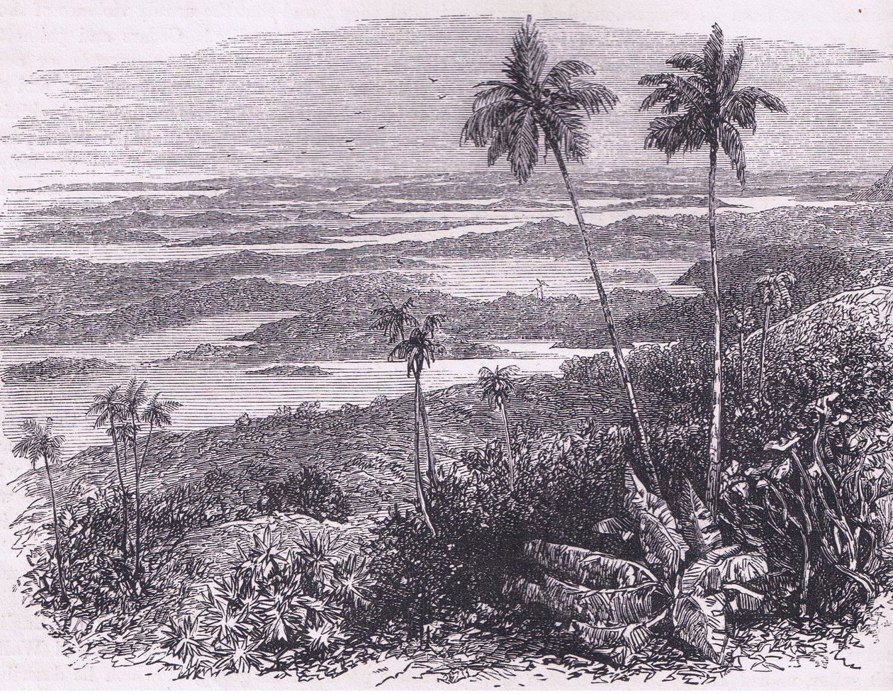 Pohled na Bermudy, ilustrace z Cassell