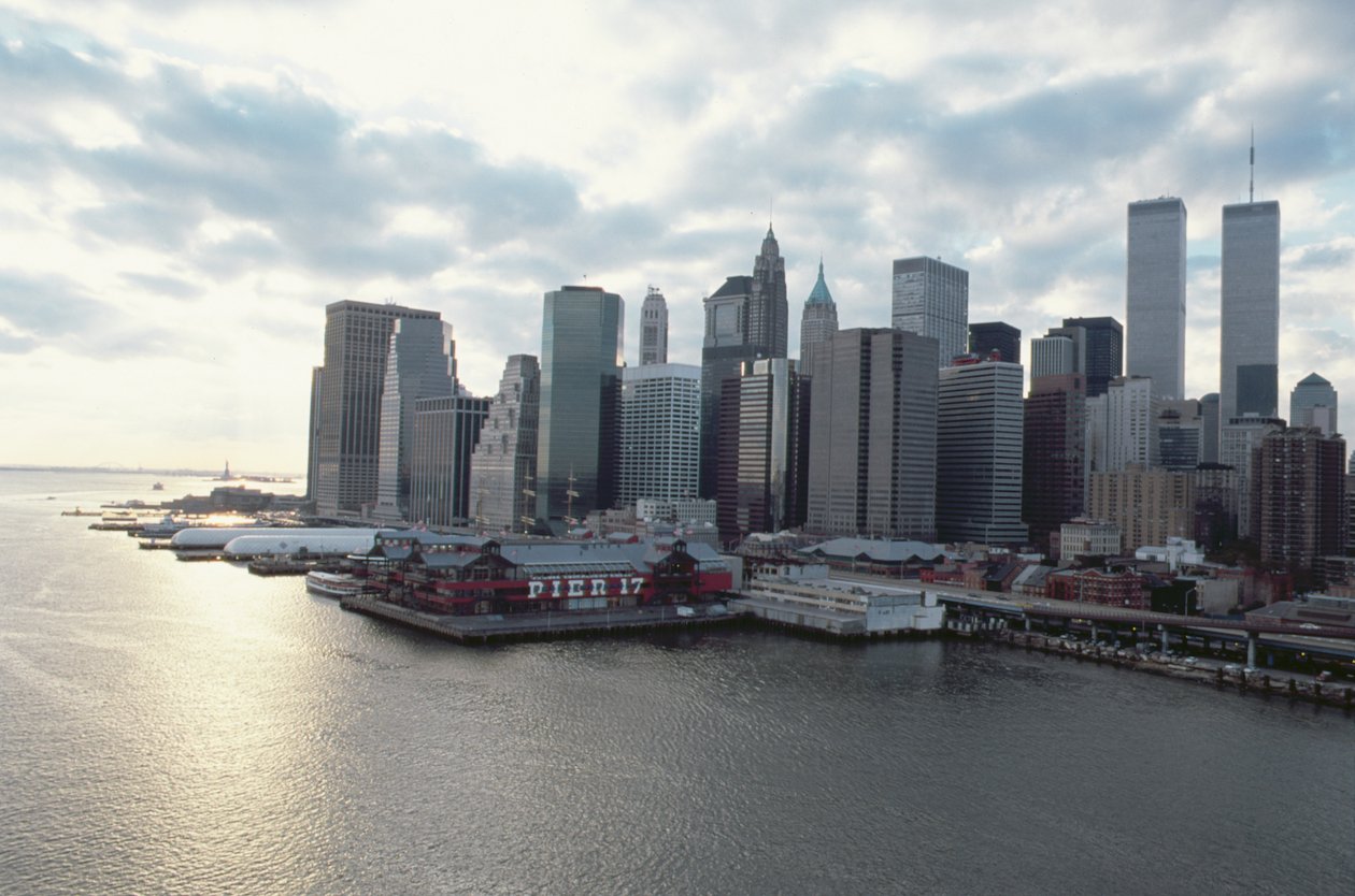 Pohled směrem k finanční čtvrti přes East River od American School