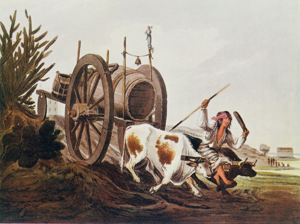 Vodní vozík, reprodukovaný z Vidalsových malebných ilustrací Buenos Aires a Montevidea, hospoda. v roce 1820, z Romance of the River Plate, sv. I, od W. H. Koebel, 1914 od American School