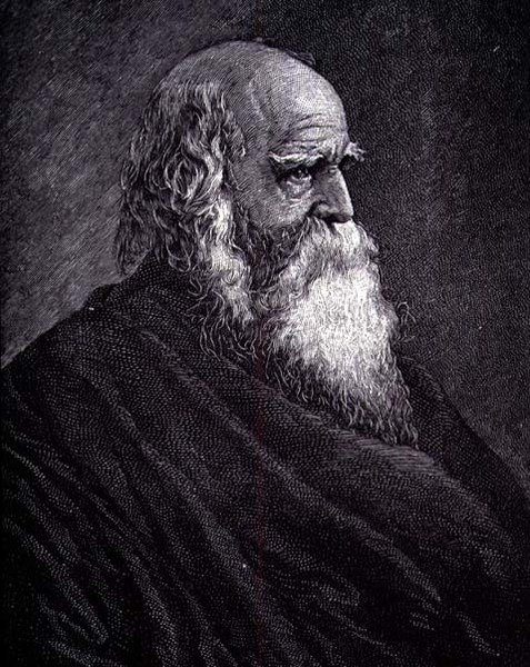 William Cullen Bryant (rytina) od American School