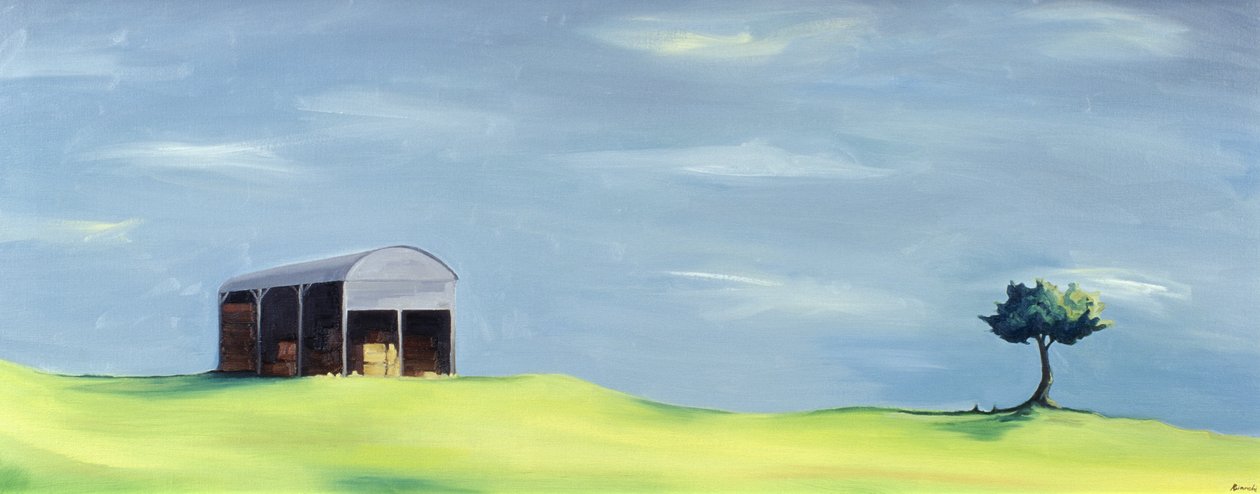 Poulton Fields od Ana Bianchi
