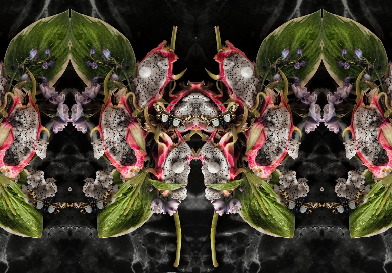 Eve_01, 2016 (Fotografie) od Ana Carolina Tavares Mizrahi