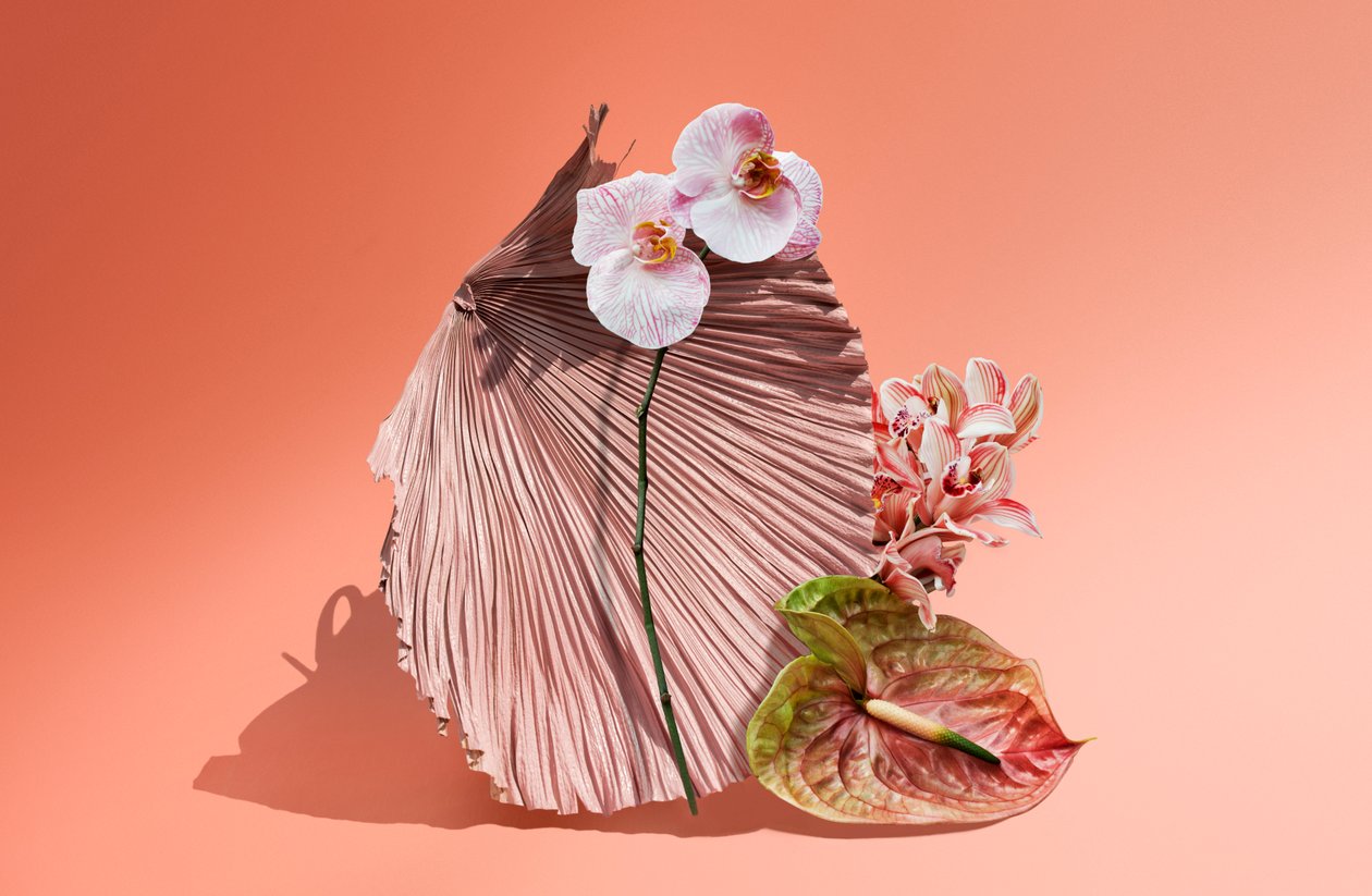 Ikebana 06, 2018 (fotografie) od Ana Carolina Tavares Mizrahi