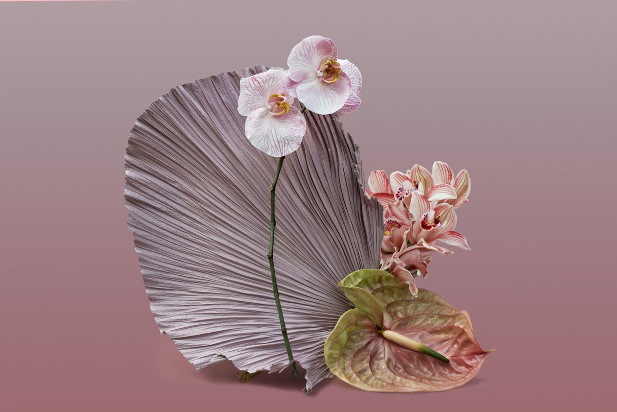 Ikebana 12, 2018 (fotografie) od Ana Carolina Tavares Mizrahi