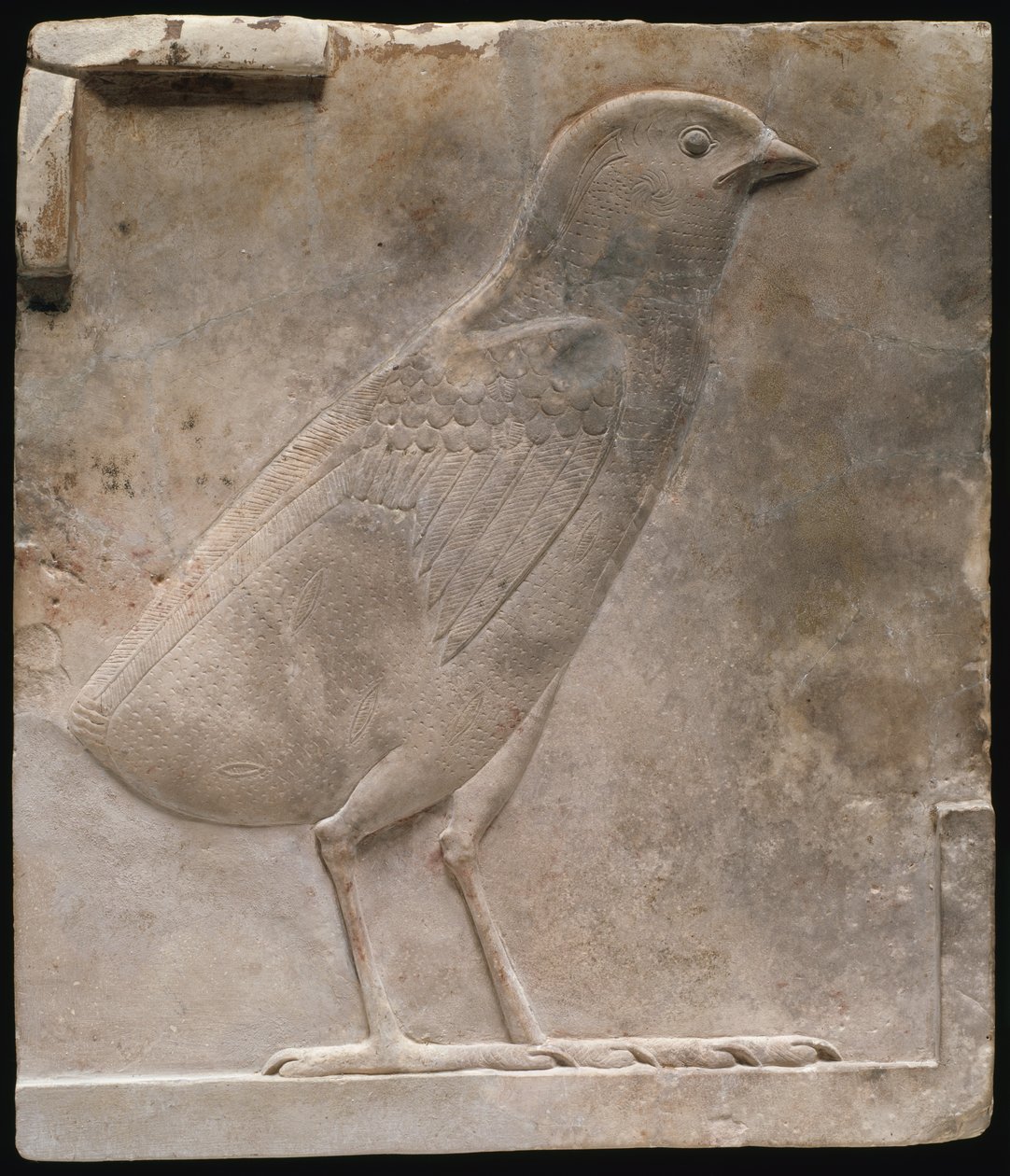 Plaketa s vyobrazením křepelčího kuřete od Ancient Egyptian