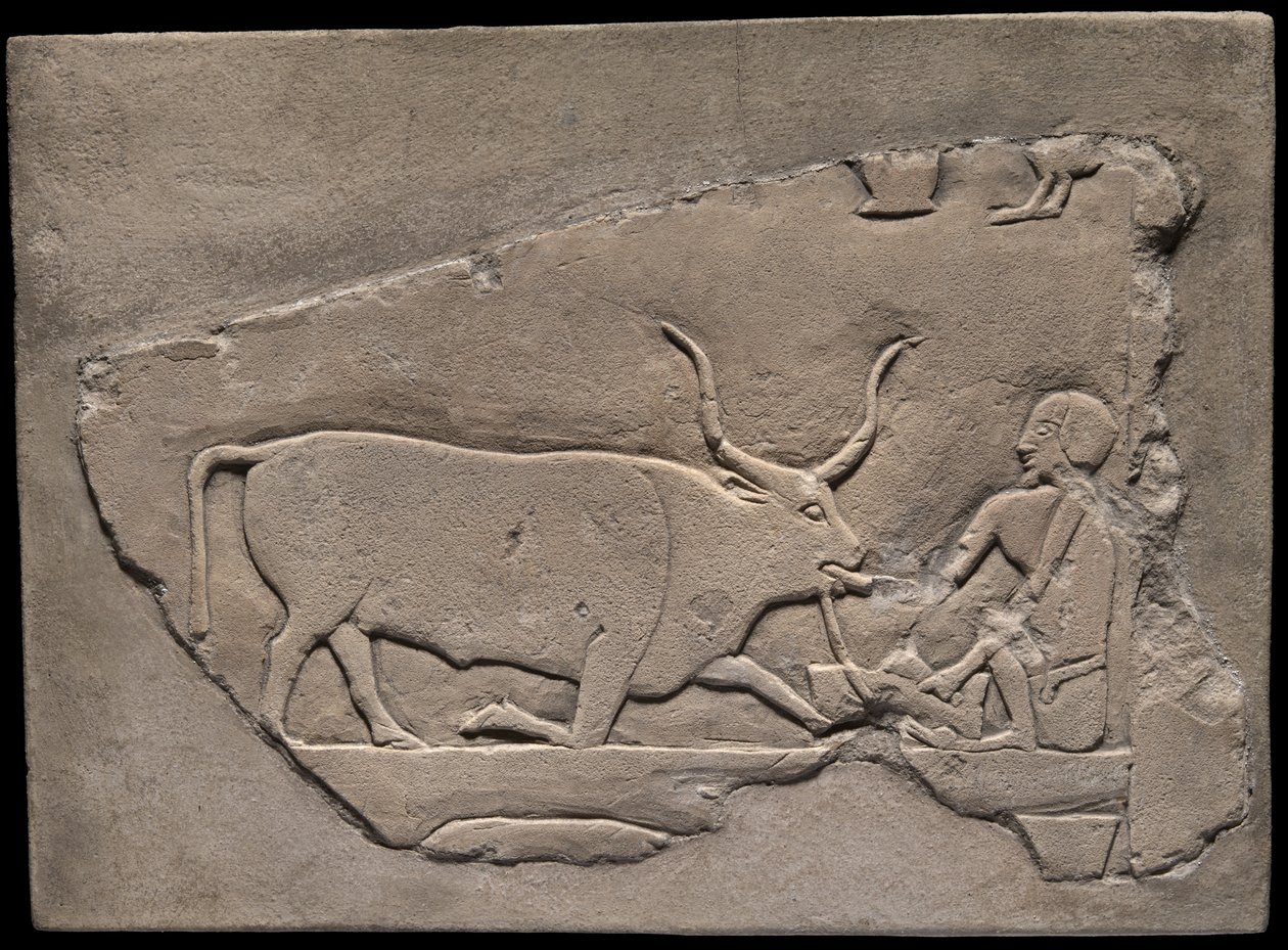 Fragment stěny z hrobky s vyobrazením pastevce od Ancient Egyptian