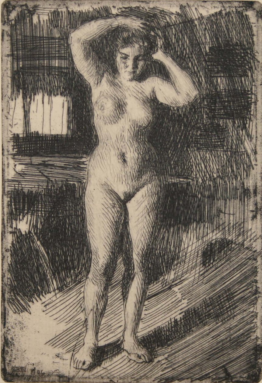 Anna si dělá vlasy od Anders Leonard Zorn